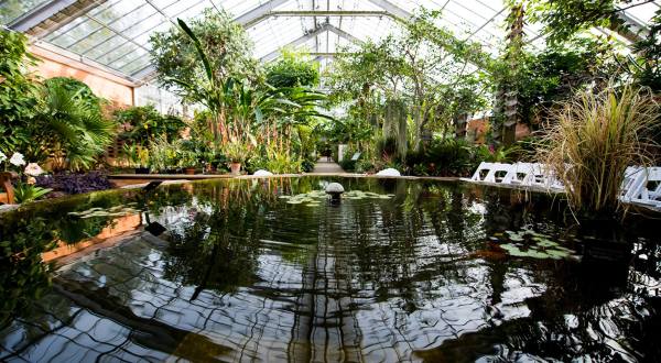 The Unique, Out-Of-The-Way Botanical Gardens And Arboretum Near Detroit That’s Always Worth A Visit