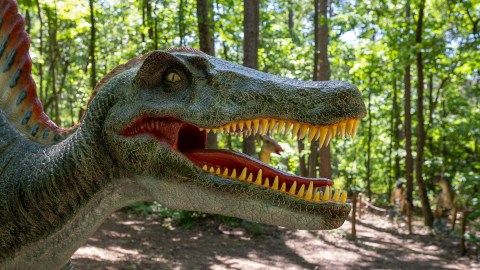 Take A Hike Along The Only Dinosaur Trail In South Carolina This Summer At Roper Mountain