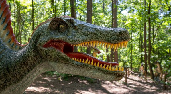 Take A Hike Along The Only Dinosaur Trail In South Carolina This Summer At Roper Mountain