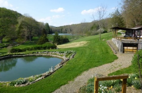 Cool Off In A Pristine Spring-Fed Pool At This 600-Acre Mountain Airbnb In Pennsylvania