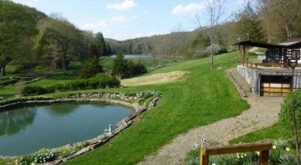 Cool Off In A Pristine Spring-Fed Pool At This 600-Acre Mountain Airbnb In Pennsylvania