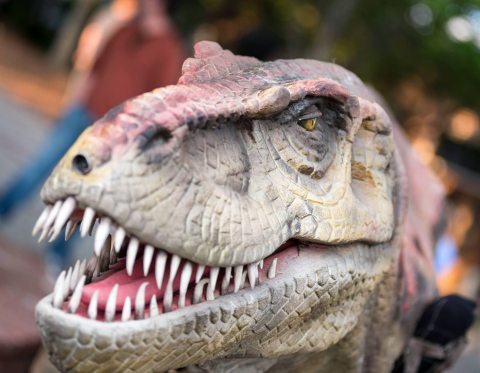 The Kiddos Will Go Wild Over The Upcoming Drive Thru Dinosaur Hunt At Upton Farms In North Carolina
