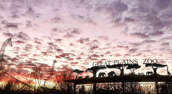 A Family Campout At The Great Plains Zoo In South Dakota Is One Of The Best Things You Will Do This Summer
