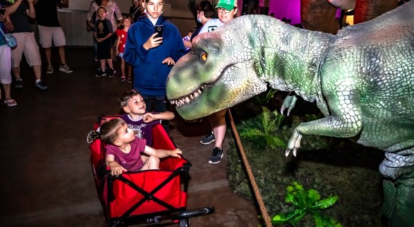 You Can Walk Around Life-Size Dinosaurs At Dino Stroll In Colorado