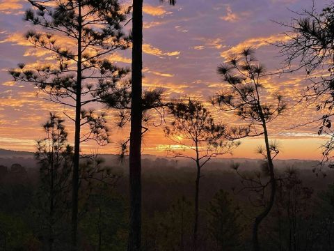 5 Short And Sweet Trails In Louisiana That End In Mesmerizing Views