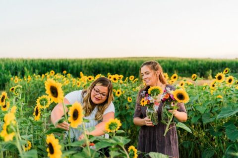 You Can Cut Your Own Flowers At The Festive Harvest Tyme Family Farm In Indiana