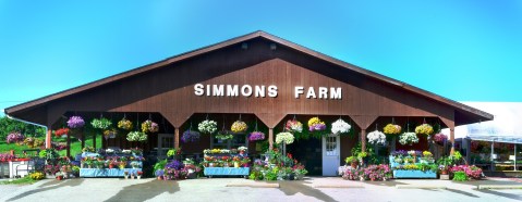 The Festive Farm Close To Pittsburgh Where You Can Cut Your Own Flowers