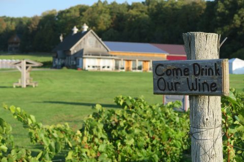 Sip Wine And Stroll On A 140-Acre Farm At This Vermont Vineyard