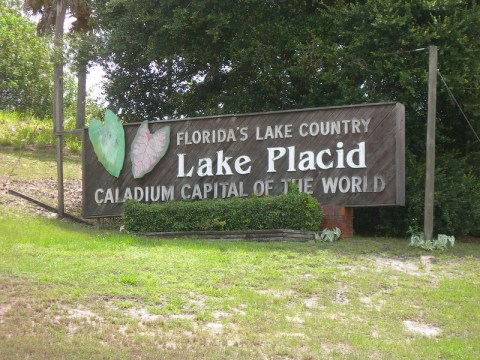 One Of The Most Unique Towns In America, Lake Placid Is Perfect For A Day Trip In Florida