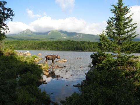 Baxter Is The Single Best State Park In Maine And It's Just Waiting To Be Explored