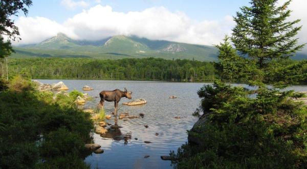 Baxter Is The Single Best State Park In Maine And It’s Just Waiting To Be Explored