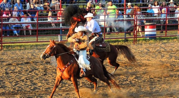 Get A Taste Of The Wild West In New York At The Gerry Rodeo, The Oldest Rodeo East Of The Missippi