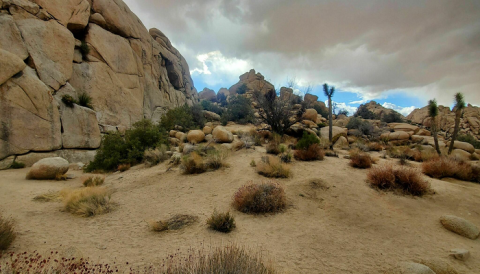 Visit Southern California's Joshua Tree National Park For Seven Days Of Scenic Experience You Didn't Know You Needed