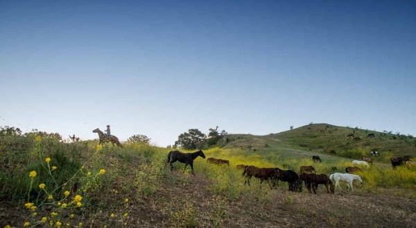 Experience A Luxury Dude Ranch In Southern California With Endless Amenities At The Alisal