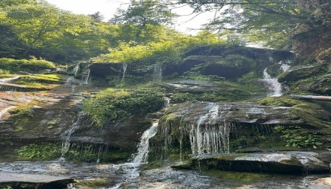 Take A Magical Waterfall Hike In North Carolina To Catawba Falls, If You Can Find It
