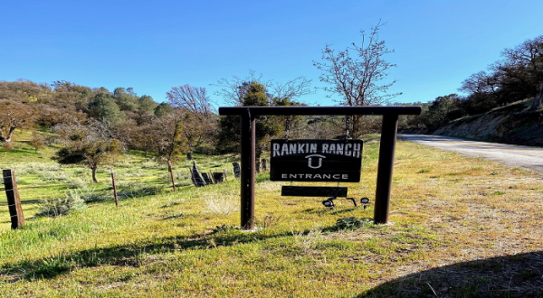 Enjoy The History, Horses, And Western Hospitality Of This Southern California Cattle And Guest Ranch