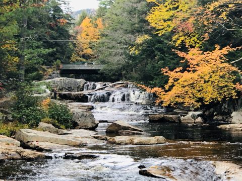 An Easy But Gorgeous Hike, The Ellis River Ski Trail Leads To A Little-Known River In New Hampshire