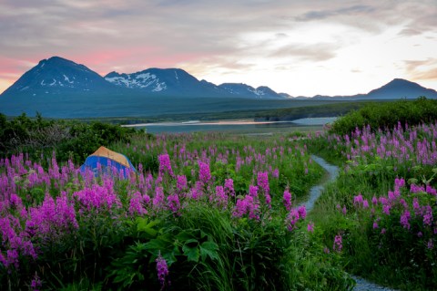 Kachemak Bay State Park Is The Single Best State Park In Alaska And It's Just Waiting To Be Explored