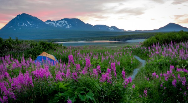 Kachemak Bay State Park Is The Single Best State Park In Alaska And It’s Just Waiting To Be Explored