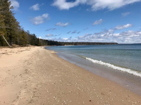 Newport State Park Is The Single Best State Park In Wisconsin And It's Just Waiting To Be Explored