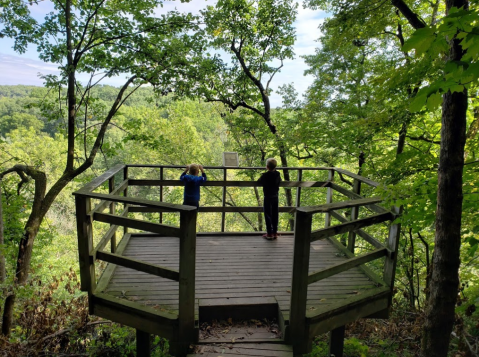 6 Miles Of Hiking Trails Await Visitors At Minnesota's Carley State Park, Tucked Away Among Rivers And Bluffs