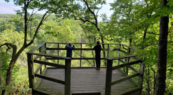 6 Miles Of Hiking Trails Await Visitors At Minnesota’s Carley State Park, Tucked Away Among Rivers And Bluffs
