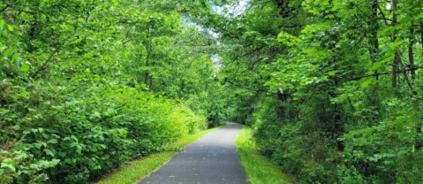 Lenape Trail Is A 2-And-A-Half Mile Hike In New Jersey That's Accessible For People Of All Ages