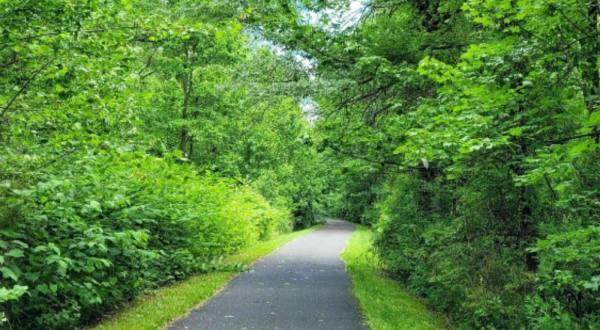 Lenape Trail Is A 2-And-A-Half Mile Hike In New Jersey That’s Accessible For People Of All Ages