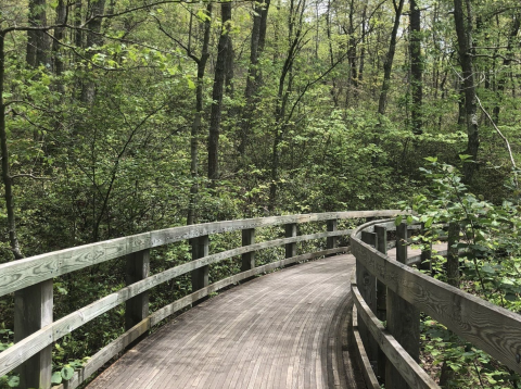 5 Totally Kid-Friendly Hikes In Virginia That Are 1 Mile And Under