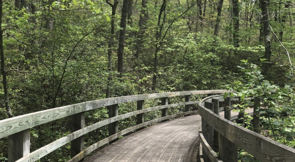 5 Totally Kid-Friendly Hikes In Virginia That Are 1 Mile And Under