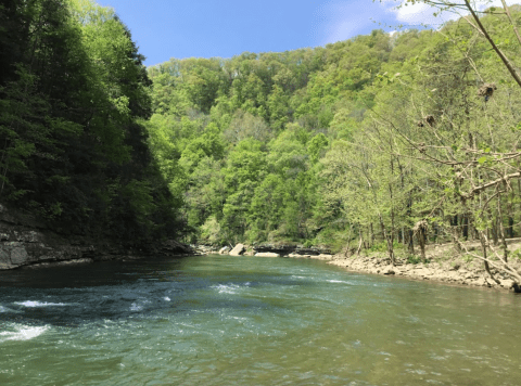 This Secluded Lagoon In Kentucky Might Just Be Your New Favorite Swimming Spot
