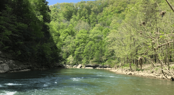 This Secluded Lagoon In Kentucky Might Just Be Your New Favorite Swimming Spot
