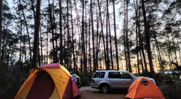 Stephen C Foster State Park Has A One-Of-A-Kind Campground In Georgia That You Must Visit Before Summer Ends