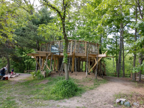 Harris Nature Center Is A Scenic And Creative Spot In Michigan Where Imagination Is Everything