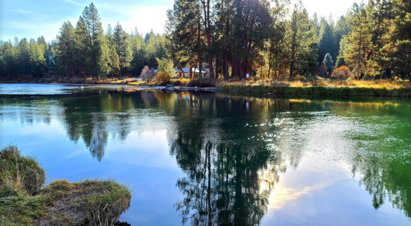 Enjoy A Picture-Perfect Day In Oregon Nature At Meadow Day Use Area
