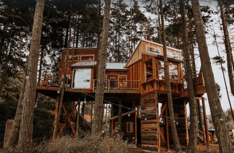 Enjoy Views Of The Strait Of Juan De Fuca From This Cozy Treehouse Cabin In Washington
