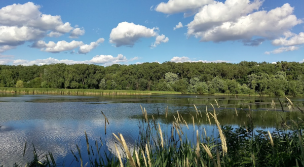 Explore Marsh And Prairie At Wood Lake Nature Center, A Small But Beautiful Wildlife Preserve In Minnesota