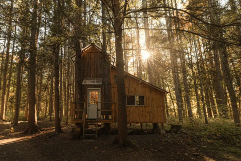 Spend The Night At This Incredible Treehouse Cabin In New York
