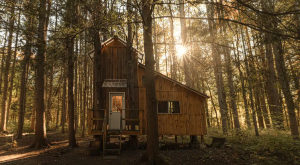 Spend The Night At This Incredible Treehouse Cabin In New York