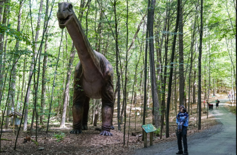There’s A Dinosaur-Themed Park In New York Called Dino Roar Valley