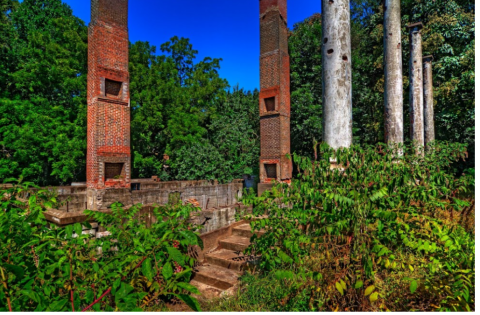 12 Staggering Photos Of The Ruins Of The Abandoned Tanglewood Mansion In South Carolina