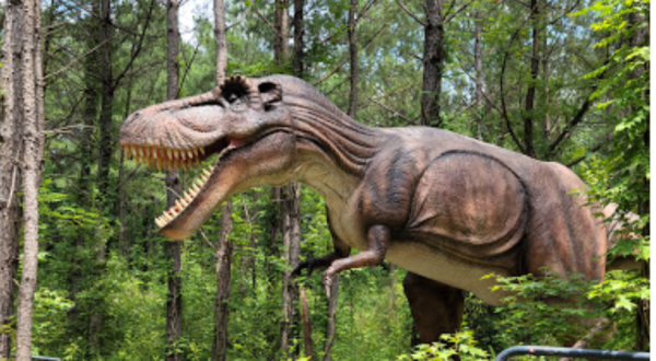 North Carolina’s Only Dinosaur Trail Is A Thrilling Walk Through Prehistoric Times