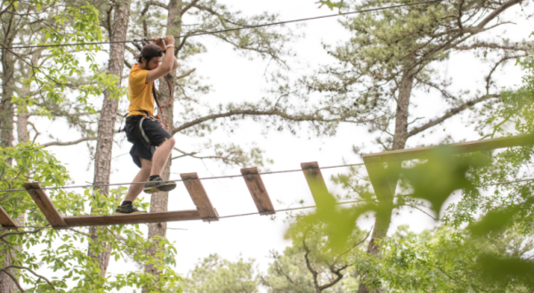 7 Amazing Treetop Adventures You Can Only Have In New Jersey