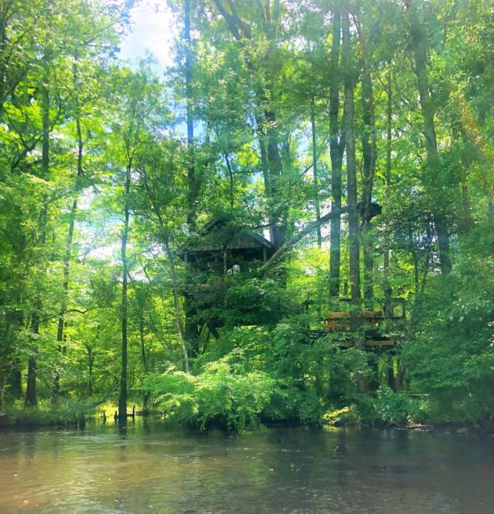 secluded treehouse on Edisto River in South Carolina
