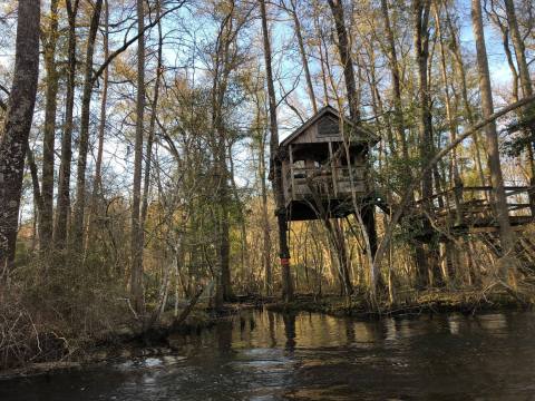outside view of treehouse in South Carolina