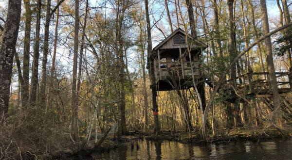 For Just $160 A Night, You Can Stay In A Treehouse On The Edisto River In South Carolina