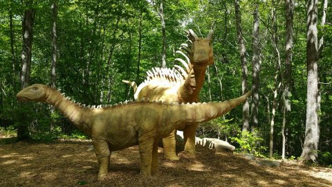 There’s A Dinosaur-Themed Playground And Splash Pad In Connecticut Called The Dinosaur Place
