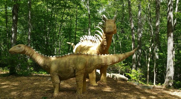 There’s A Dinosaur-Themed Playground And Splash Pad In Connecticut Called The Dinosaur Place