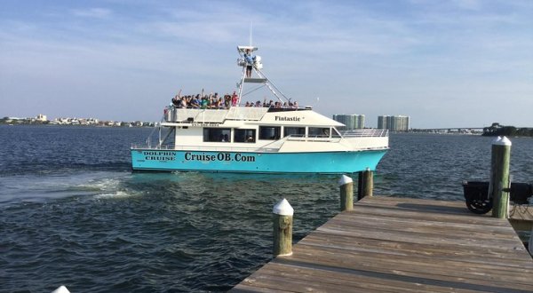 Take In Views Of Alabama’s Captivating Coastline While Aboard This Unforgettable Dolphin Cruise