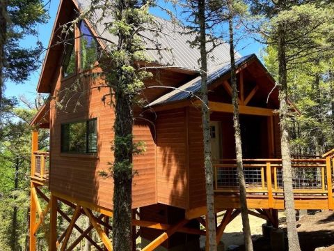 Unleash Your Inner Child And Book A Stay At This Luxurious Treehouse In New Mexico